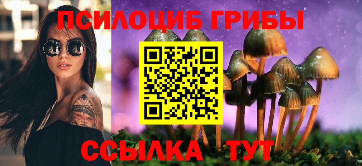 Галлюциногенные грибы Psilocybine cubensis Саянск