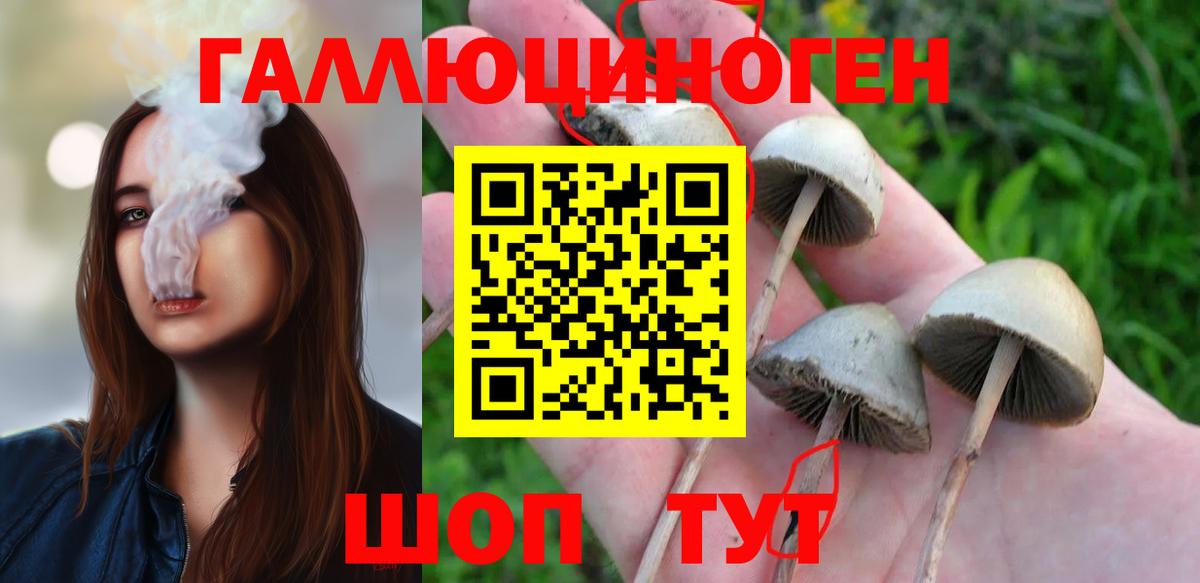 Саянск  Псилоцибиновые грибы мицелий  где найти   Вход с VPN 